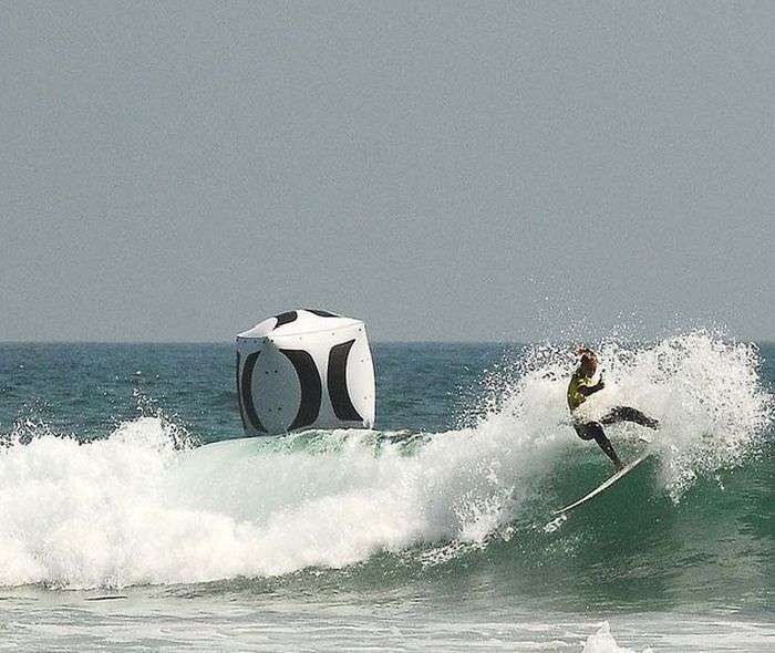 Безстрашна серфингистка (21 фото)