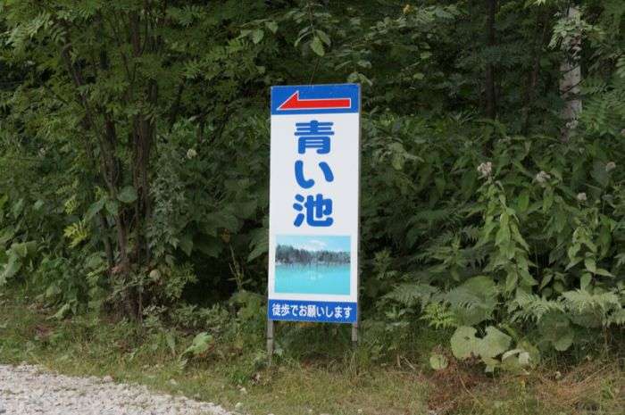 Дивовижний Синій ставок в Японії (37 фото)