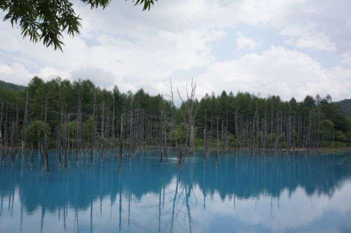 Дивовижний Синій ставок в Японії (37 фото)