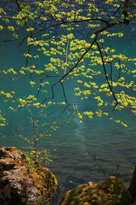 Неймовірно красиве озеро Оберзее в Німеччині (42 фото)