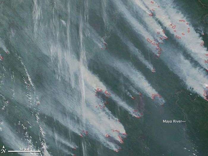 Серйозні пожежі в Сибіру (36 фото)