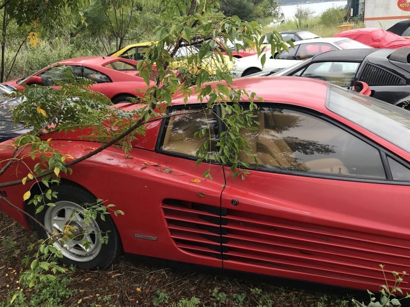 Частную коллекцию суперкаров Ferrari оставили гнить в поле   Интересное