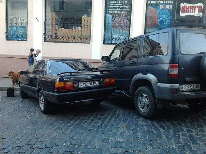Як не треба паркуватися (6 фото)
