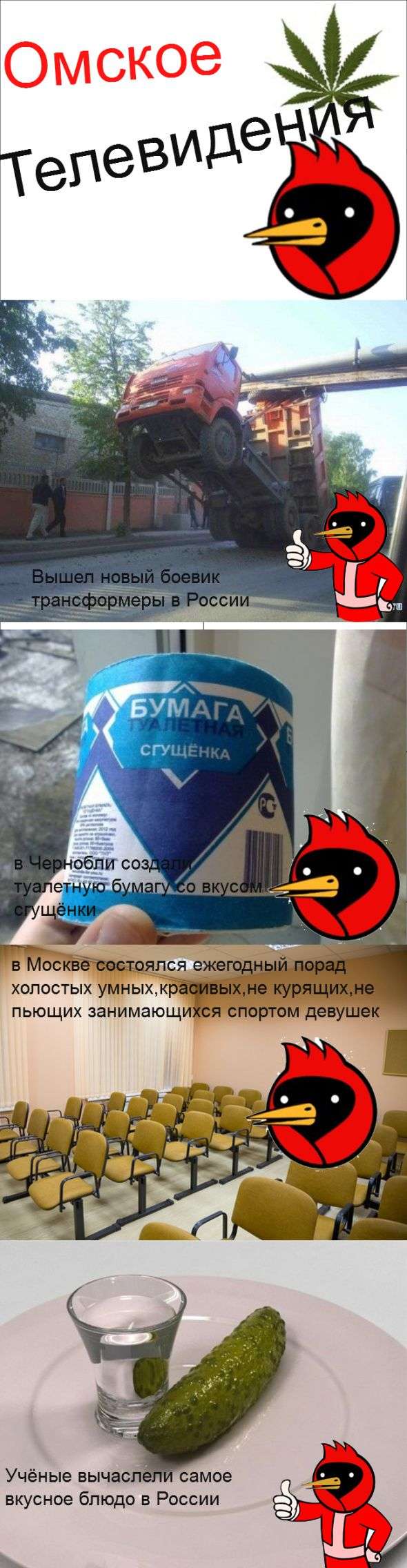 Суворе омське телебачення (10 картинок)