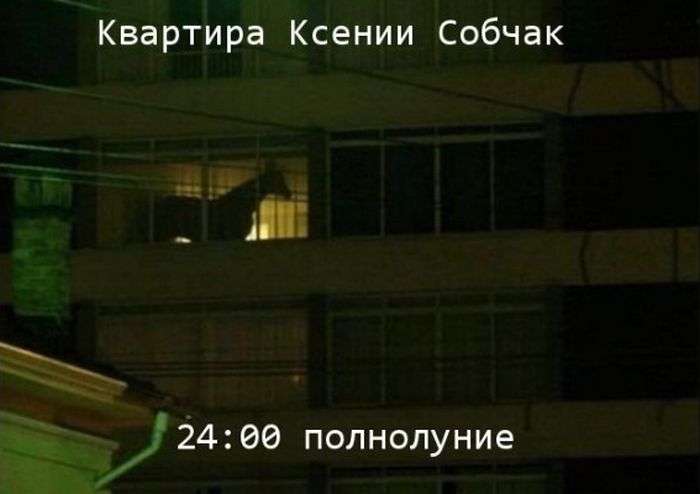 Прикольні картинки (121 фото)