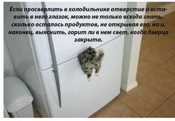 Хитрощі на кожен день (16 картинок)