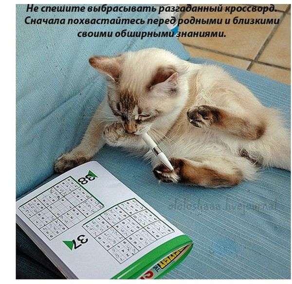 Хитрощі на кожен день (16 картинок)