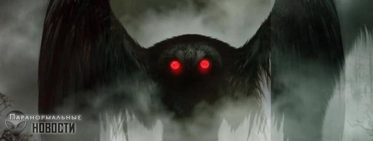 Странная история Черной птицы Чернобыля Тайны и мифы