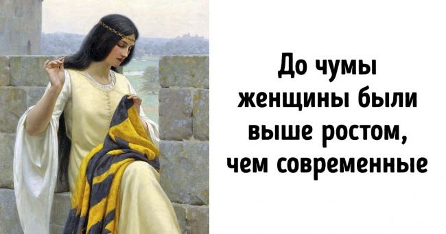 700 лет назад в Европе бушевала чума. Ее последствия мы ощущаем до сих пор Интересное