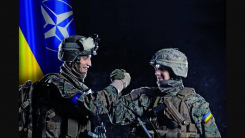 Перейдёт ли украинская армия на стандарты НАТО? армия,оружие,украина