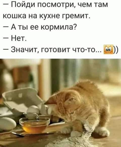 Всё всегда идёт по одному сценарию… Он — огонь, она — лёд… Юмор,картинки приколы,приколы,приколы 2019,приколы про