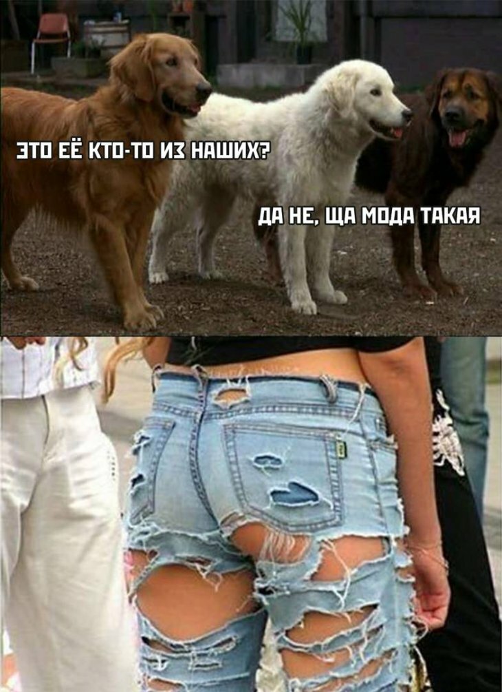 - Умные люди , Сёма . женятся рано, пока еще глупые анекдоты,демотиваторы,приколы,стихи