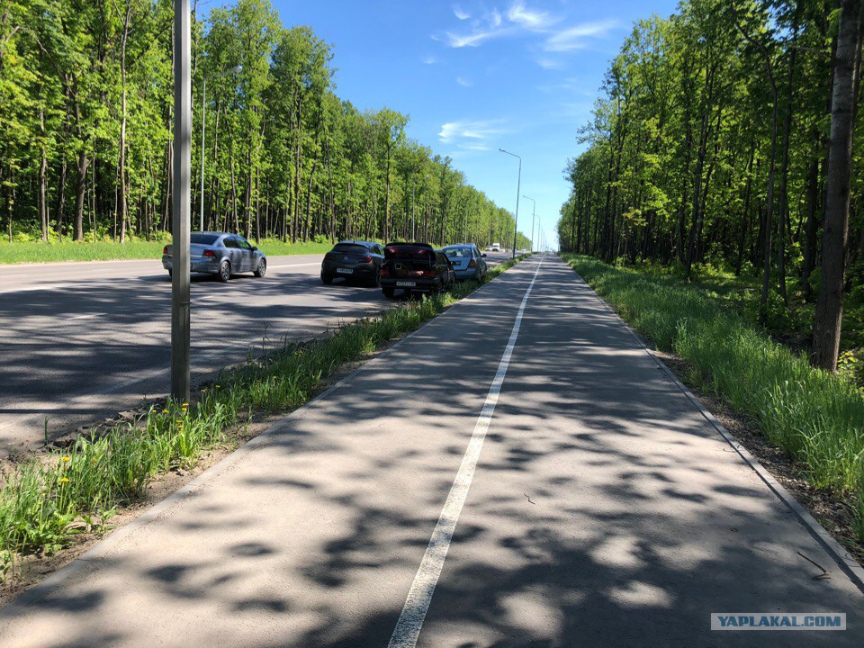 Ждите, дорогие автомобилисты! Вот так прячут камеры в Саранске авто и мото,автоновости,Россия