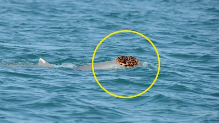 92676b62-346b-4256-87da-9bf92e2bd630