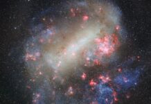 Велика Магелланова Хмара: фабрика зірок у наших галактичних сусідах