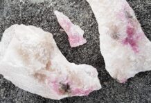 Сутінки: декодування мови науки