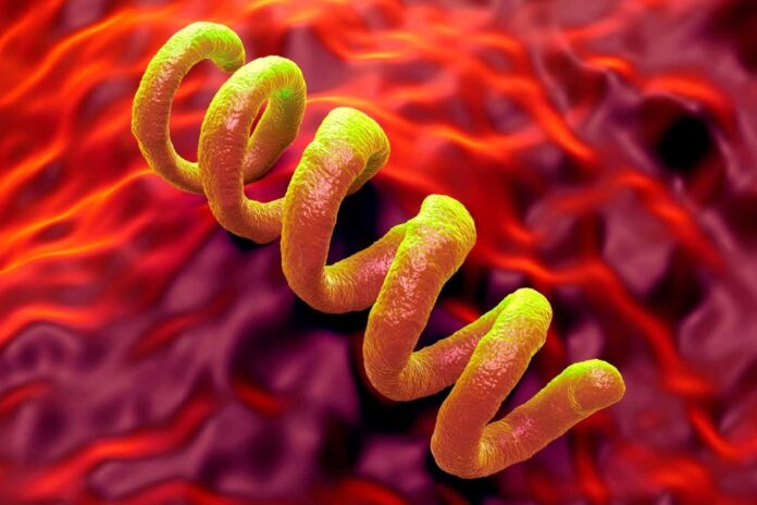 3b336b51-f212-4979-92c9-a0ee9527f555