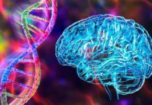 Загальні гени пов’язують вісім основних психічних розладів