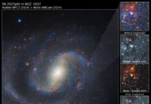 Телескоп «Вебб» Підтвердив Пилозважену Зірку як Джерело Наднової