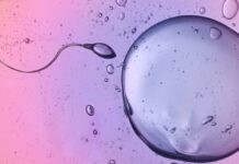 Сперматозоїди кидають виклик третьому закону Ньютона