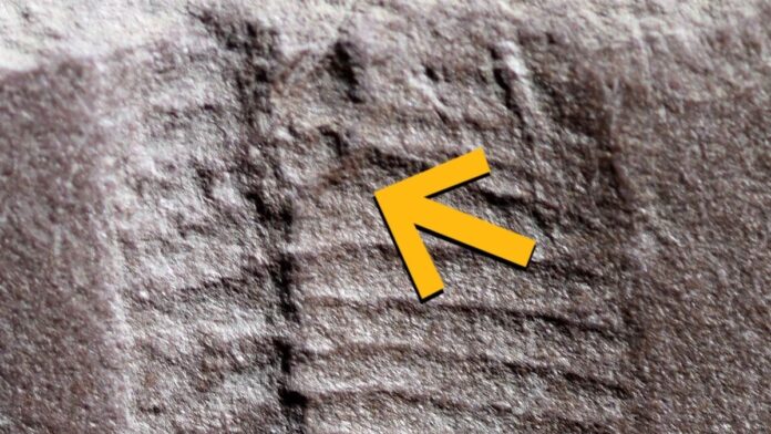 9d22f976-169d-4541-a39e-de86b9ba3d83