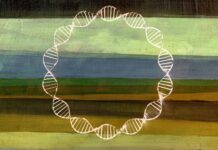 Екологічна ДНК: Новий рубіж у моніторингу екосистем у режимі реального часу