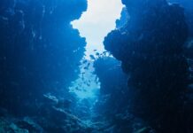 Атлантичний “Гранд-Каньйон”: Як 500-кілометровий розлом утворився на дні океану