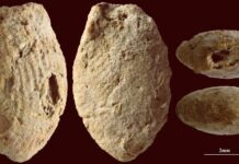 Глина до землеробства: Дитячі відбитки розкривають світанок символічного мислення