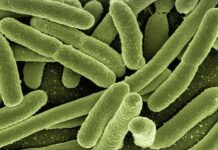 Новий датчик, що носиться, обіцяє більш швидке і точне виявлення інфекцій сечовивідних шляхів.