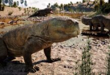 Нова знахідка скам’янілостей у Бразилії змінює уявлення про травоїдні тріасові періоди