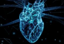Цифрові Репліки Сердець Покращують Рятівну Процедуру при Небезпечних Порушеннях Ритма