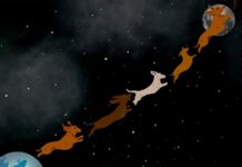 Від такс до ІІ: дайджест науки, масштабів та абсурду